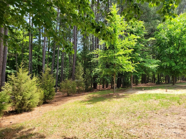 3634 Cartledge Creek Rd, Mount Gilead, NC 27306 - view of yard with a view of trees