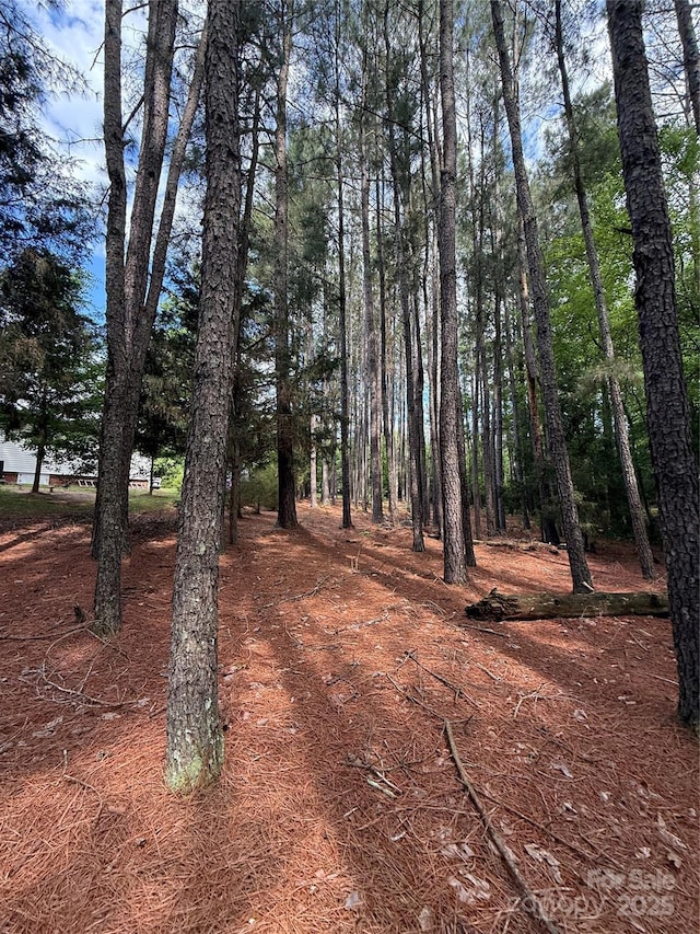 3634 Cartledge Creek Rd, Mount Gilead, NC 27306 - view of undeveloped land