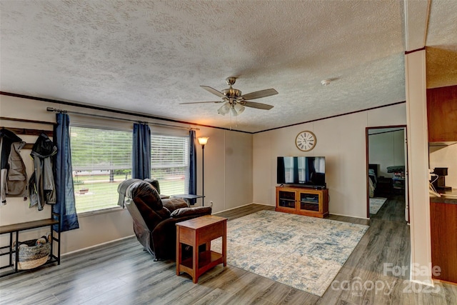 101 J M Ln, Lawndale, NC 28090 - living room with a textured ceiling, ornamental molding, and wood finished floors