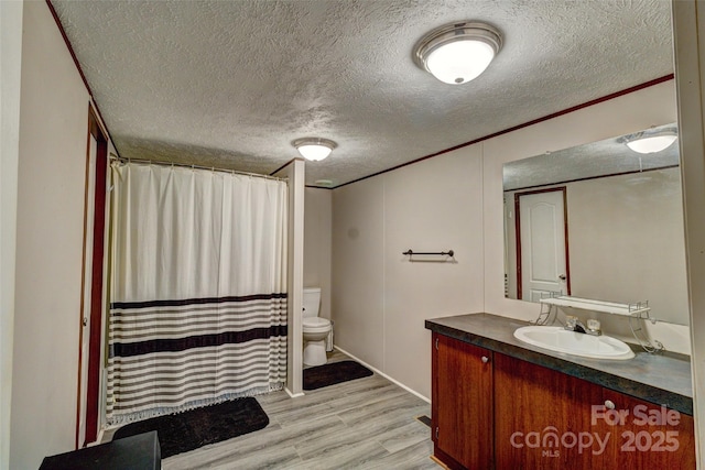 101 J M Ln, Lawndale, NC 28090 - bathroom with vanity, toilet, a textured ceiling, wood finished floors, and a shower with curtain