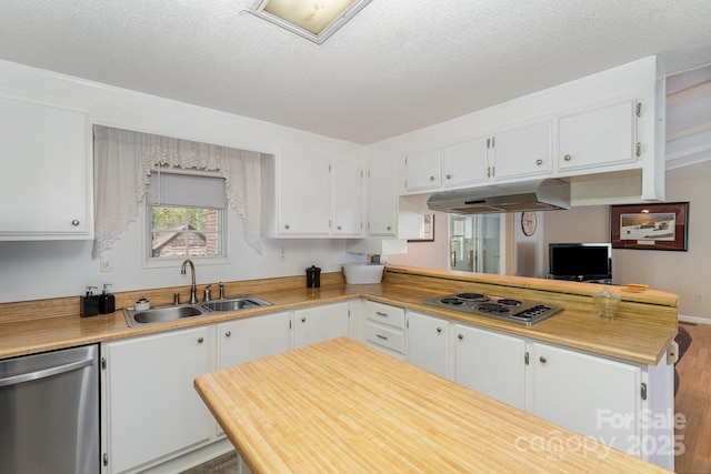 5013 Friendship Circle Rd, East Bend, NC 27018 - kitchen with appliances with stainless steel finishes, under cabinet range hood, white cabinetry, light countertops, and a textured ceiling