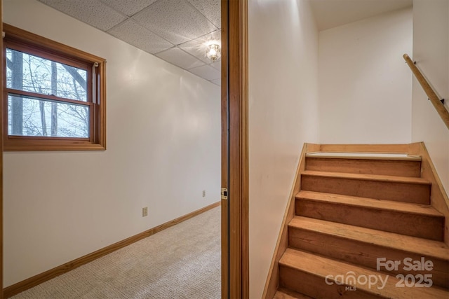 stairway featuring carpet flooring, baseboards, and a drop ceiling