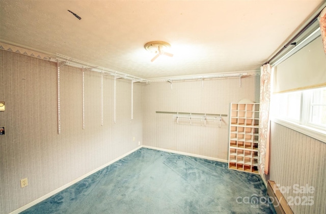 walk in closet featuring carpet