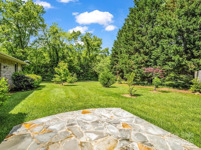 209 Daniel Dr, Hendersonville, NC 28739 - view of green lawn featuring a patio