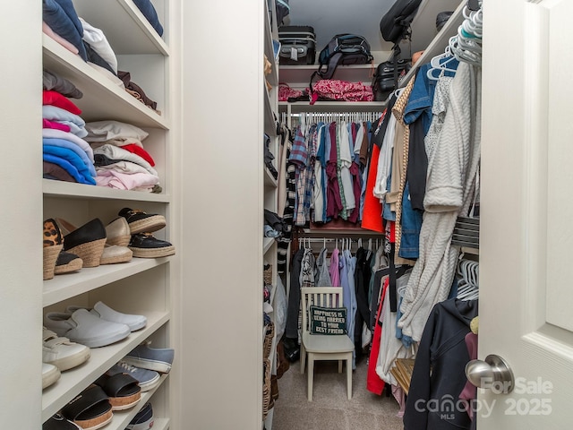 2125 Belle Vernon Ave, Charlotte, NC 28210 - spacious closet with carpet floors