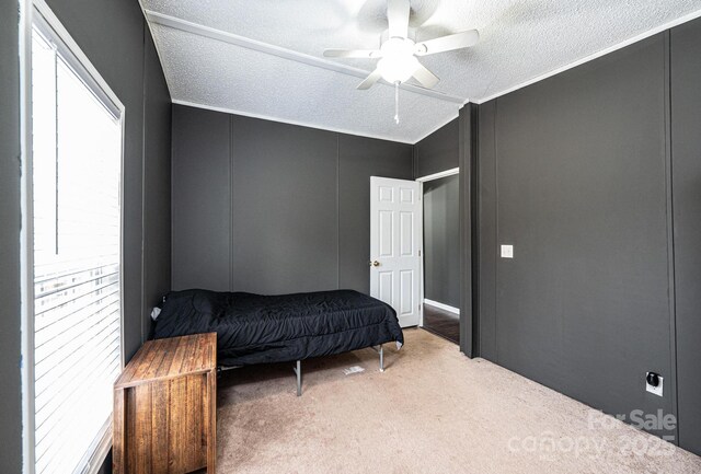living area featuring carpet, ceiling fan, a decorative wall, and a textured ceiling