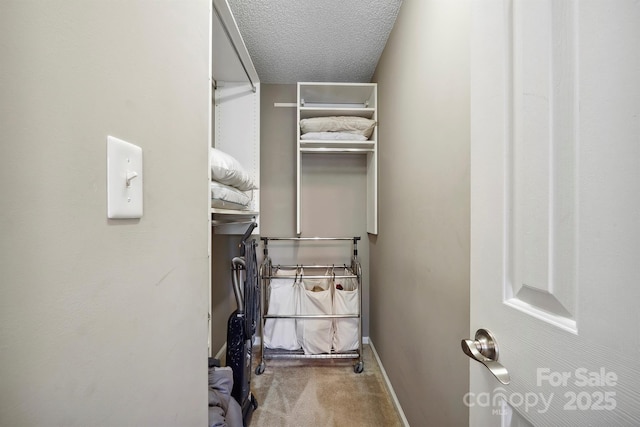 spacious closet with carpet