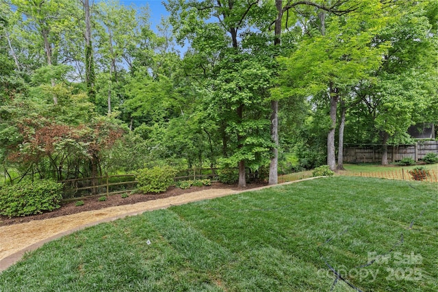 624 Heather Ln, Charlotte, NC 28209 - view of yard