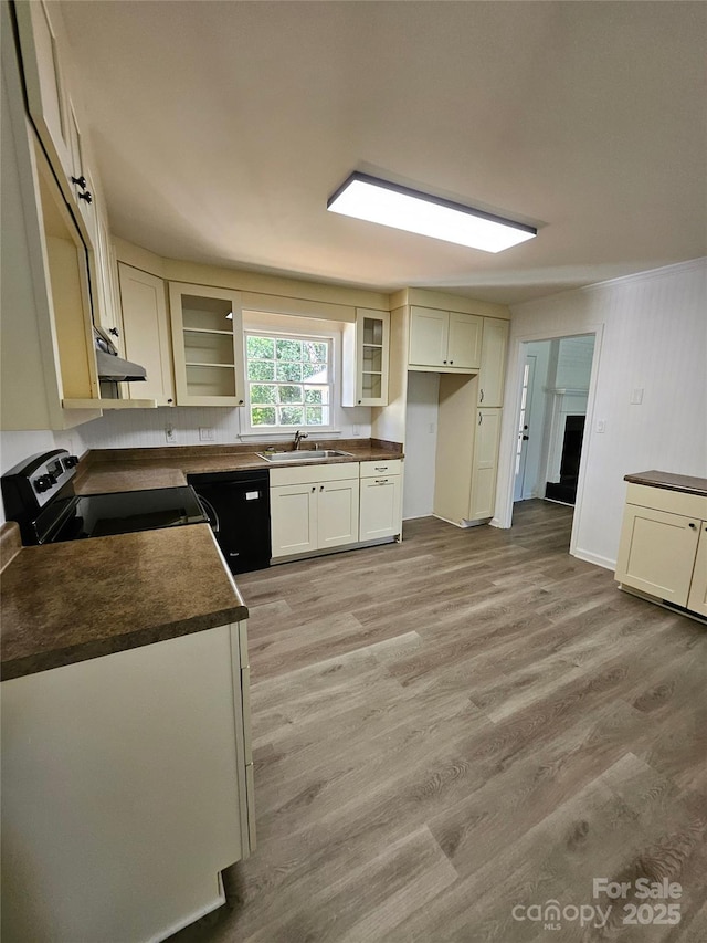 1109 Reid Harkey Rd, Matthews, NC 28105 - kitchen with under cabinet range hood, dark countertops, a sink, black dishwasher, and light wood-type flooring