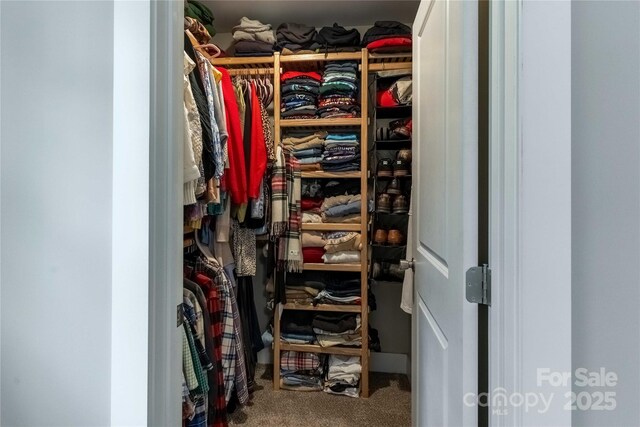 60 Wheeler Rd, Weaverville, NC 28787 - walk in closet with carpet