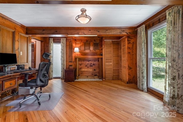 office space with wooden walls, crown molding, and plenty of natural light