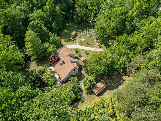 bird's eye view