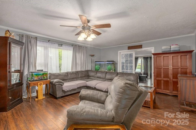 804 Rostan St SE, Valdese, NC 28690 - living room featuring ornamental molding, ceiling fan, wood finished floors, and a textured ceiling