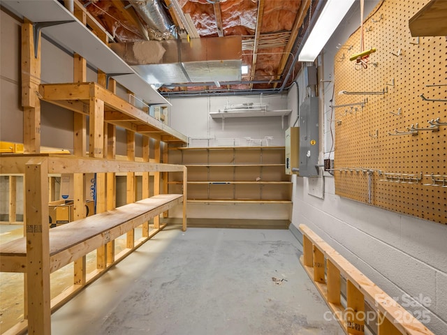 storage room with electric panel