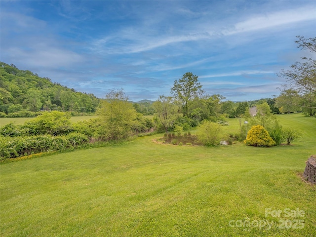 view of green lawn