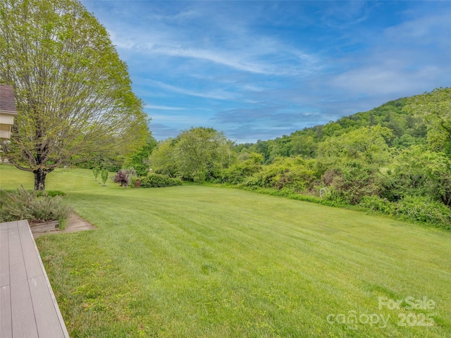 view of grassy yard