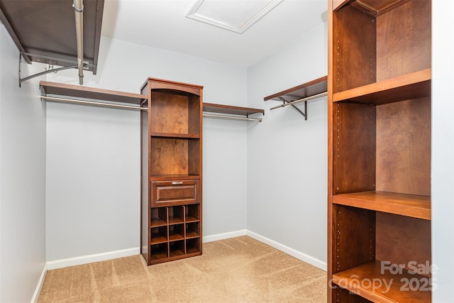 1071 Bassett Way, Fort Mill, SC 29707 - spacious closet featuring carpet and attic access