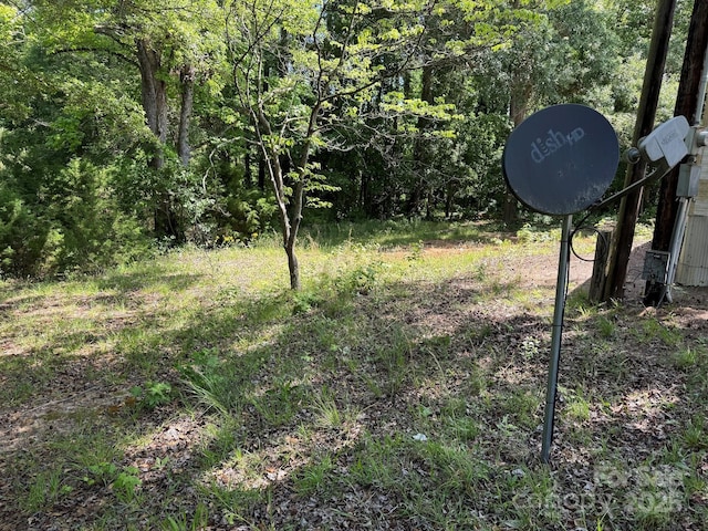 1029 Sullivan St, Wadesboro, NC 28170 - view of yard