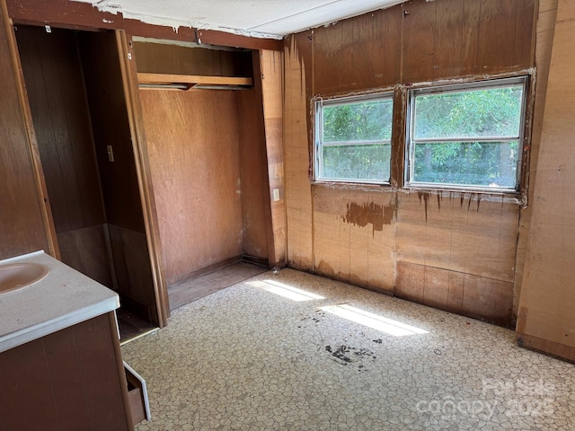 1029 Sullivan St, Wadesboro, NC 28170 - unfurnished bedroom with wood walls and a sink