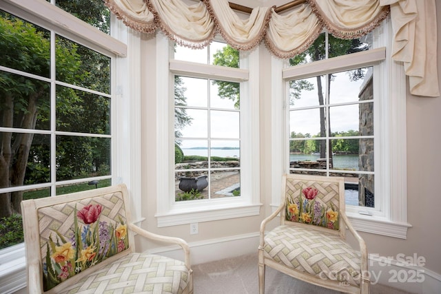 140 Lightship Dr, Mooresville, NC 28117 - sunroom / solarium with carpet, plenty of natural light, baseboards, and a water view