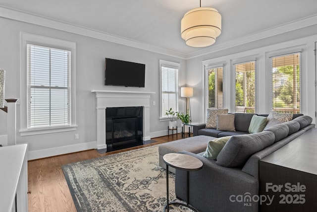 10822 Brandie Meadow Ln, Huntersville, NC 28078 - living room featuring a fireplace with flush hearth, ornamental molding, baseboards, and wood finished floors