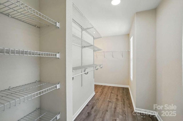 walk in closet featuring wood finished floors