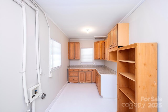 3933 Planters Pl, Indian Trail, NC 28079 - kitchen with light countertops, crown molding, and open shelves