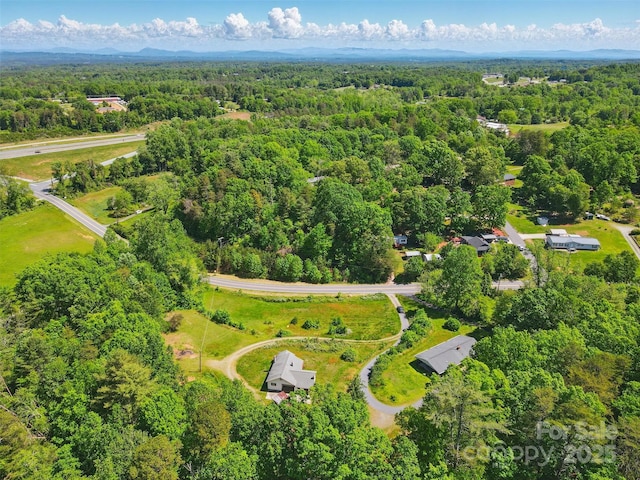 3120 Mineral Springs Mountain Rd, Valdese, NC 28690 - bird's eye view of a heavily wooded area