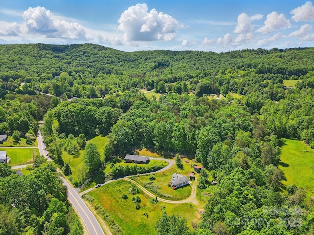 3120 Mineral Springs Mountain Rd, Valdese, NC 28690 - aerial view of a heavily wooded area