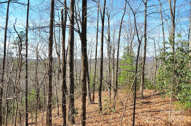 0 Stoneledge Rd, Hendersonville, NC 28792 - photo 1