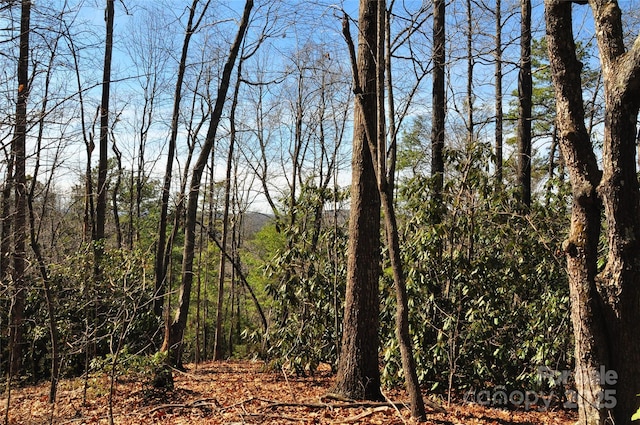 0 Stoneledge Rd, Hendersonville, NC 28792 - photo 2