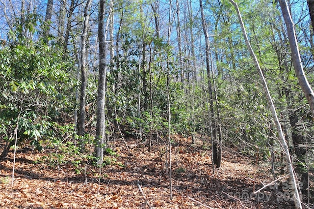 0 Stoneledge Rd, Hendersonville, NC 28792 - photo 7