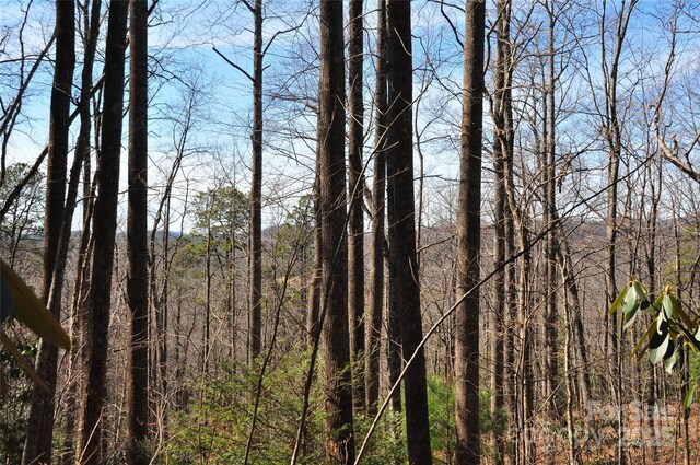 0 Stoneledge Rd, Hendersonville, NC 28792 - photo 8
