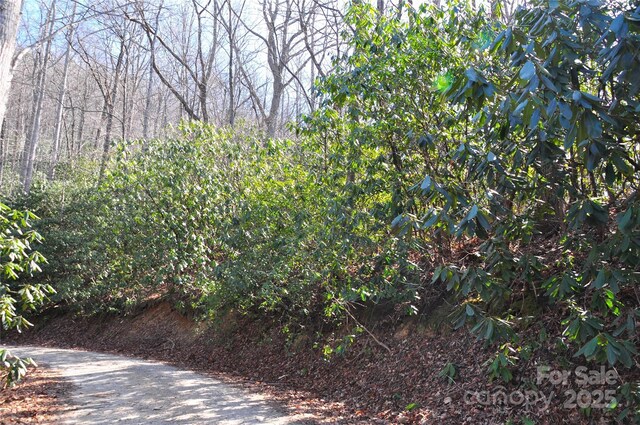 0 Stoneledge Rd, Hendersonville, NC 28792 - photo 9