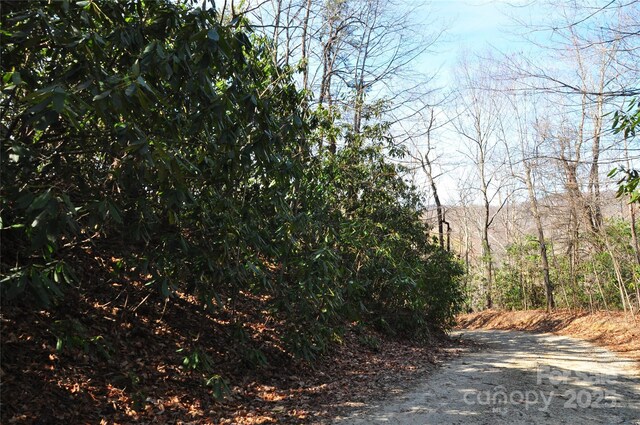 0 Stoneledge Rd, Hendersonville, NC 28792 - photo 10