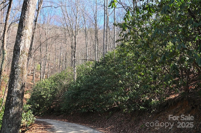 0 Stoneledge Rd, Hendersonville, NC 28792 - photo 11