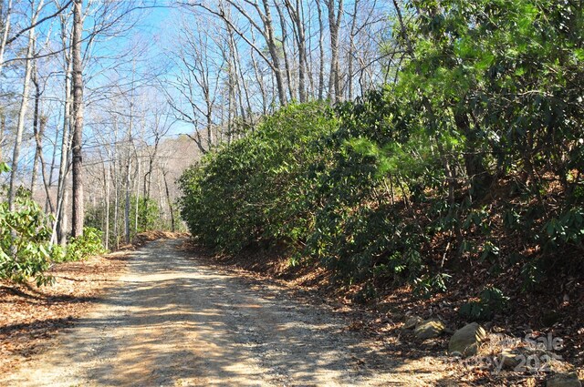 0 Stoneledge Rd, Hendersonville, NC 28792 - photo 12