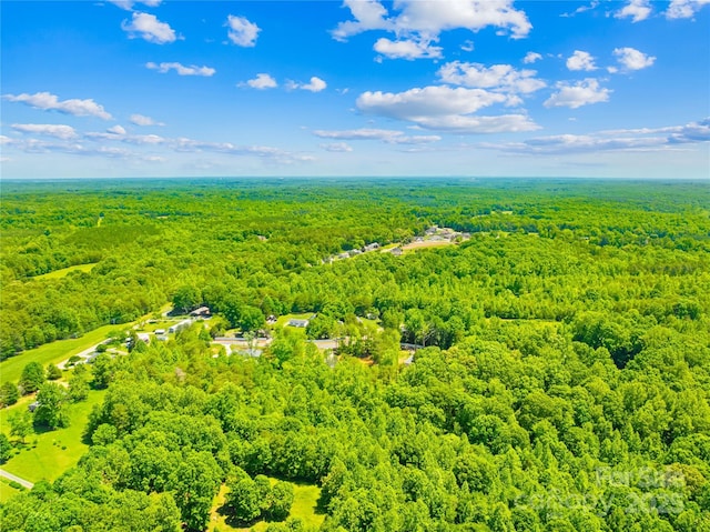 5615 American Way, Denver, NC 28037 - aerial view with a wooded view