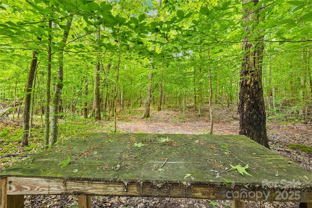 5615 American Way, Denver, NC 28037 - view of landscape featuring a wooded view