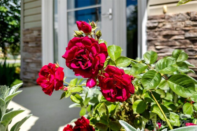 8 Cherry Laurel Ln, Swannanoa, NC 28778 - exterior view of stone siding