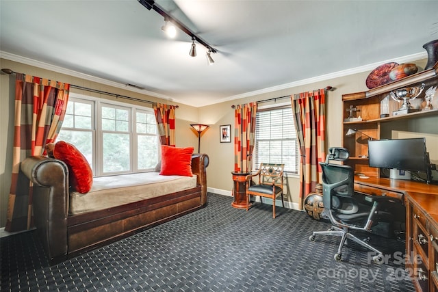 16317 Terry Ln, Huntersville, NC 28078 - bedroom with carpet floors, baseboards, track lighting, and multiple windows