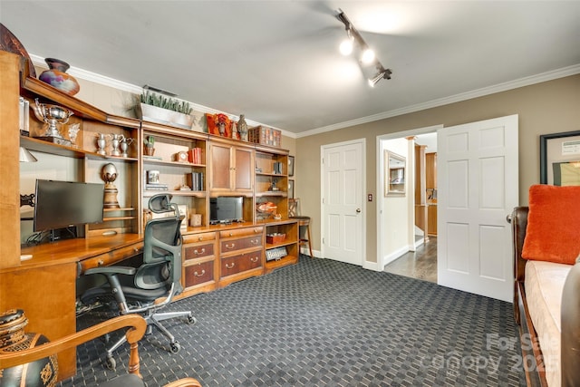 16317 Terry Ln, Huntersville, NC 28078 - carpeted office with baseboards, ornamental molding, and rail lighting