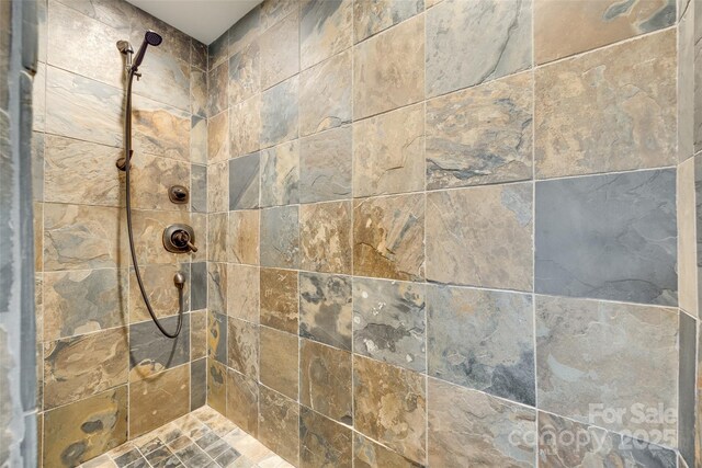 16317 Terry Ln, Huntersville, NC 28078 - details with a tile shower