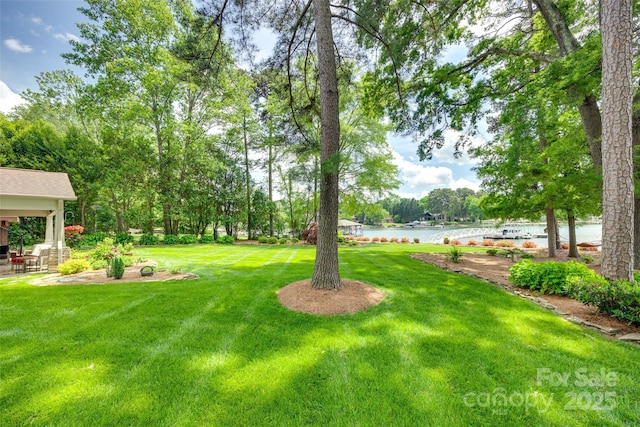 16317 Terry Ln, Huntersville, NC 28078 - view of yard with a water view