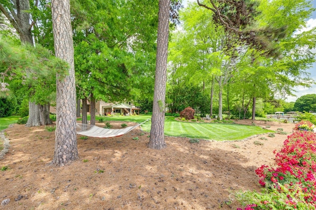 16317 Terry Ln, Huntersville, NC 28078 - view of yard