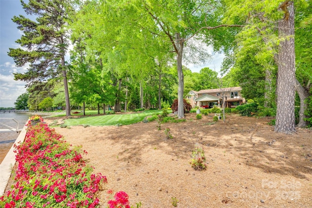 16317 Terry Ln, Huntersville, NC 28078 - view of yard