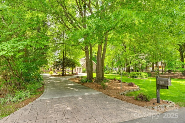 16317 Terry Ln, Huntersville, NC 28078 - surrounding community with concrete driveway and a lawn