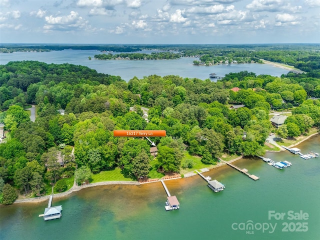 16317 Terry Ln, Huntersville, NC 28078 - drone / aerial view with a water view and a forest view