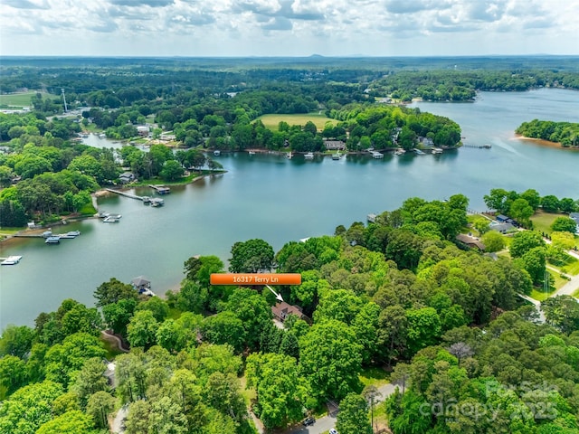 16317 Terry Ln, Huntersville, NC 28078 - aerial view featuring a water view and a wooded view