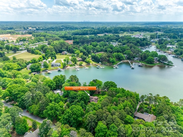 16317 Terry Ln, Huntersville, NC 28078 - drone / aerial view featuring a water view